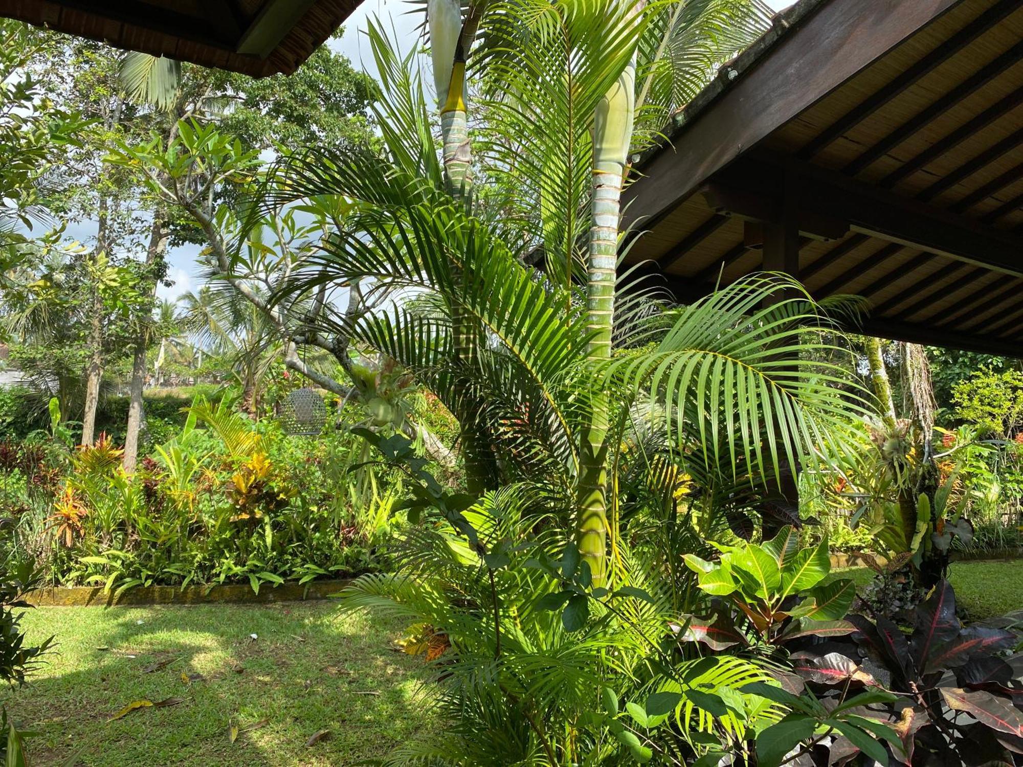 Villa Alam Surya Ubud Екстериор снимка